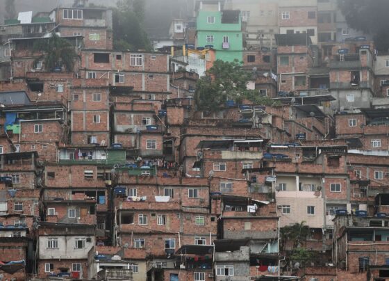 CNN Brasil