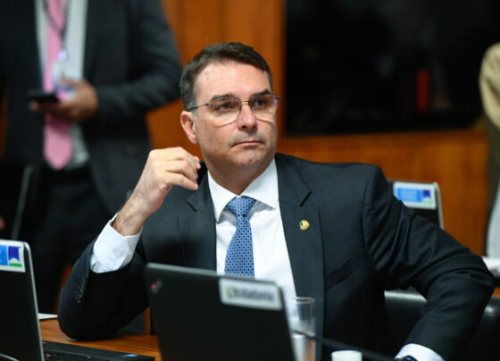Flávio Bolsonaro na Comissão de Segurança Pública do Senado