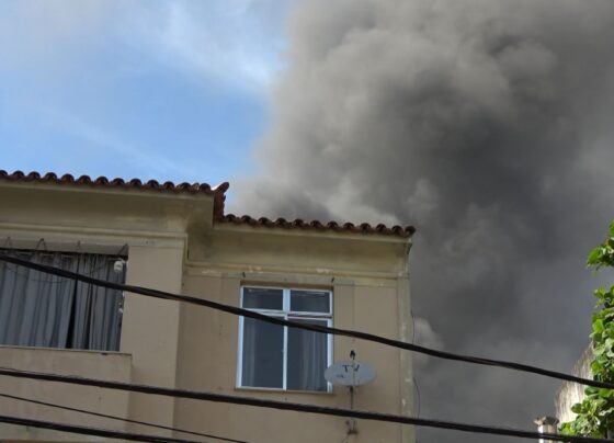 CNN Brasil