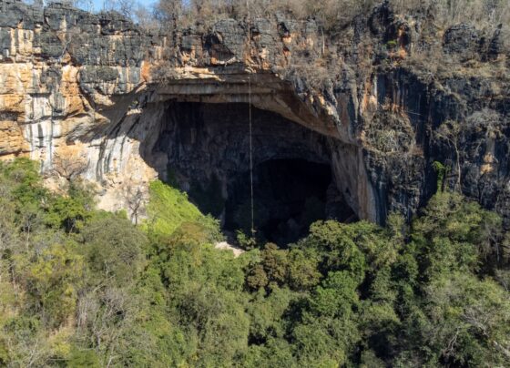 Após atuação da PGE-GO, caverna símbolo do Parque Terra Ronca passará a ser propriedade do Estado de Goiás